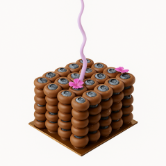 Borůvkový dort v čokoládě