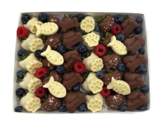 Na obrázku je velikost L 20-25 jahod